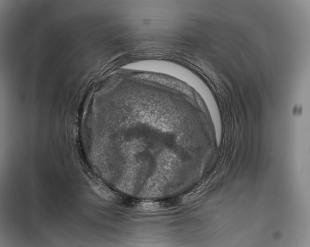 X0000099570413200806061608