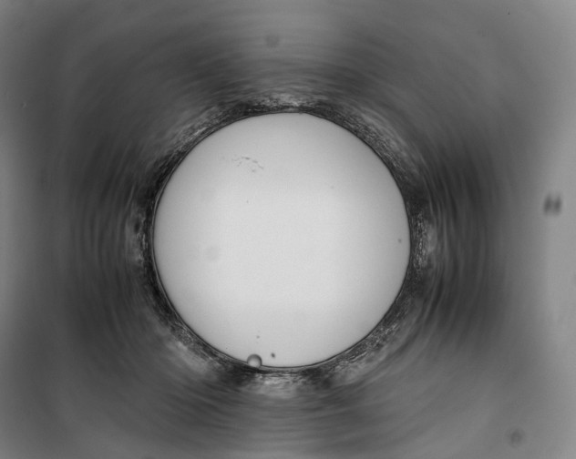 X0000099570414200806061608