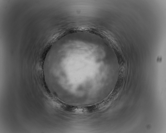 X0000099570415200806061608