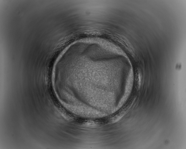 X0000099570416200806061608