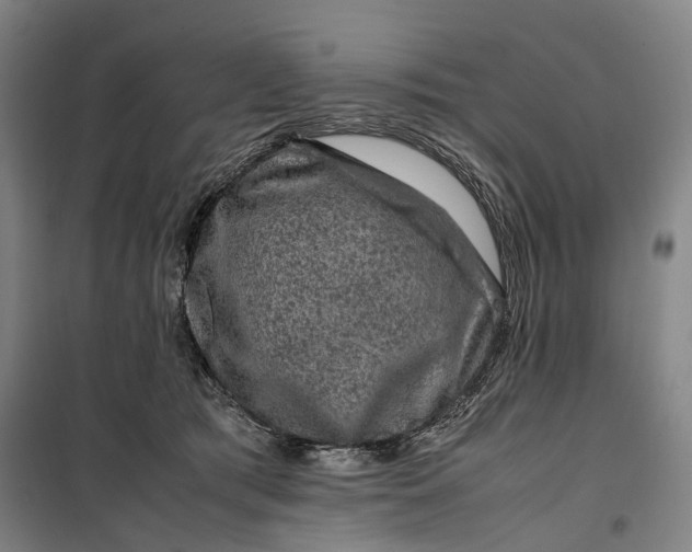 X0000099570417200806061608