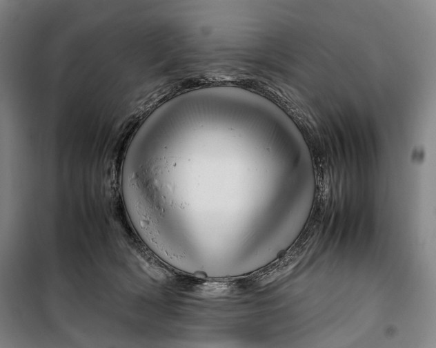 X0000099570418200806061608