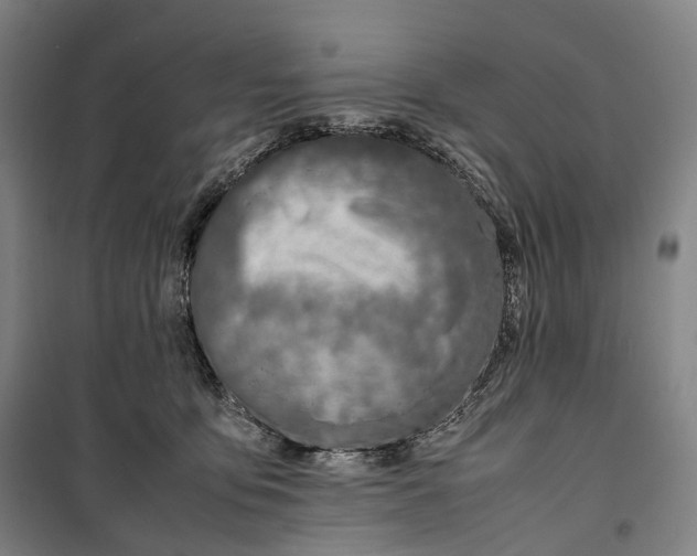 X0000099570419200806061607