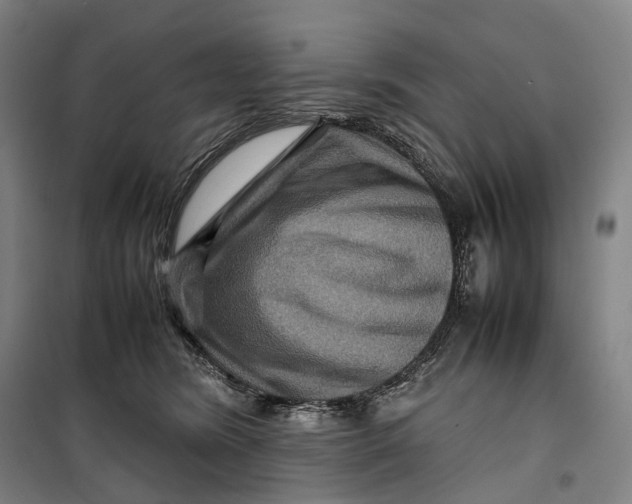 X0000099570420200806061607