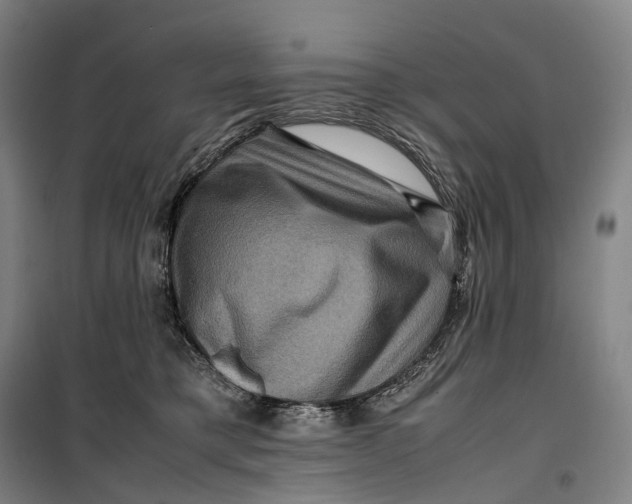 X0000099570421200806061607
