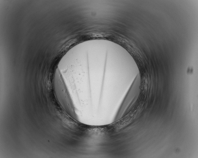 X0000099570422200806061607