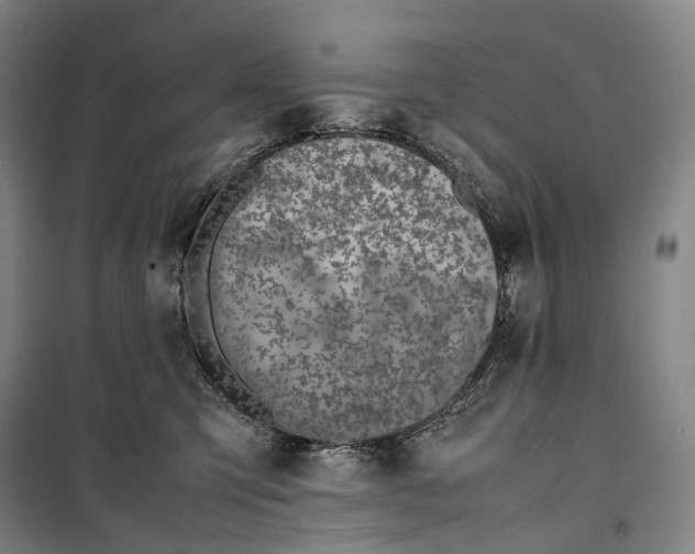 X0000099570423200806061607