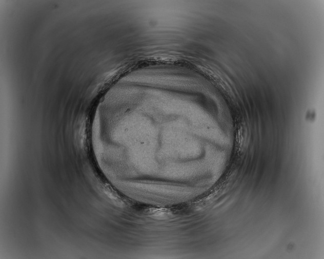 X0000099570424200806061607
