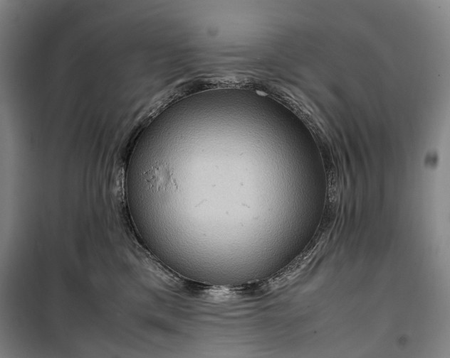 X0000099570425200806061607