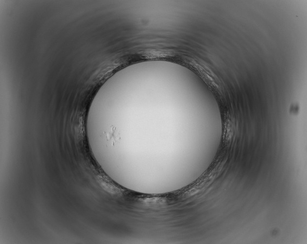 X0000099570426200806061607