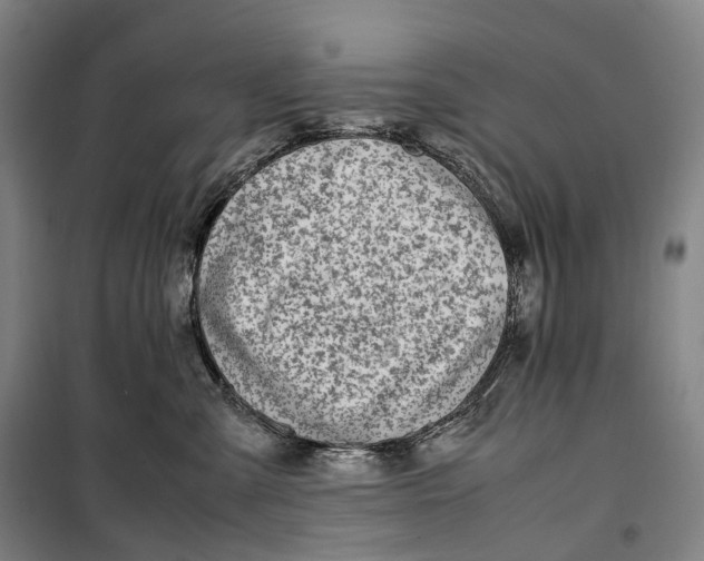 X0000099570427200806061607