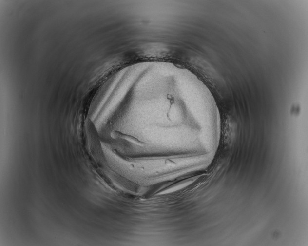 X0000099570428200806061607