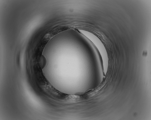X0000099570429200806061607