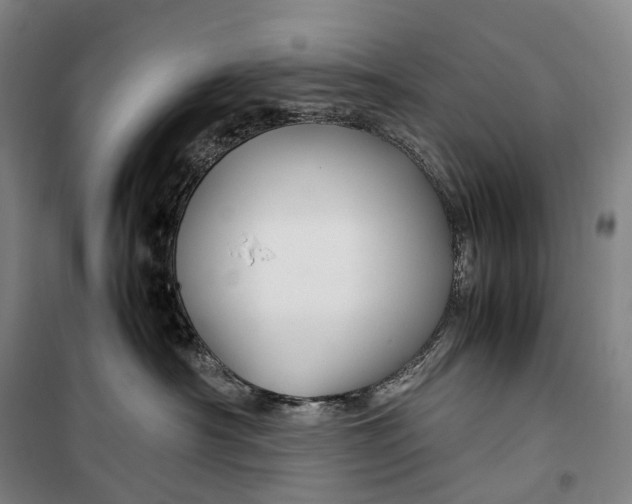 X0000099570430200806061607