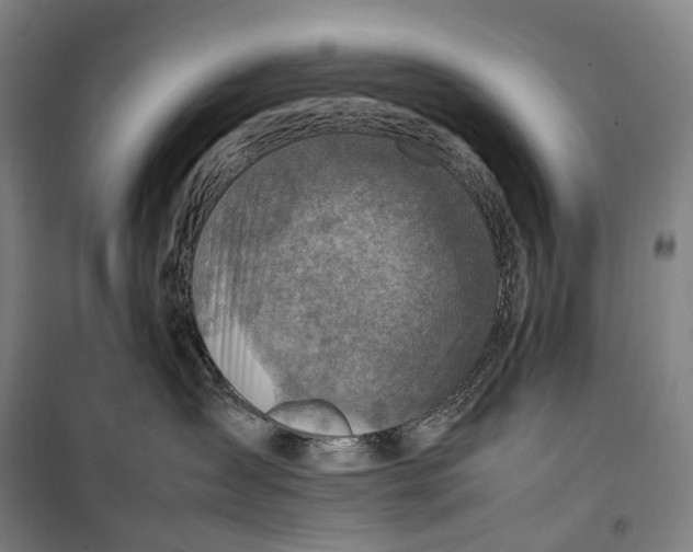 X0000099570431200806061607