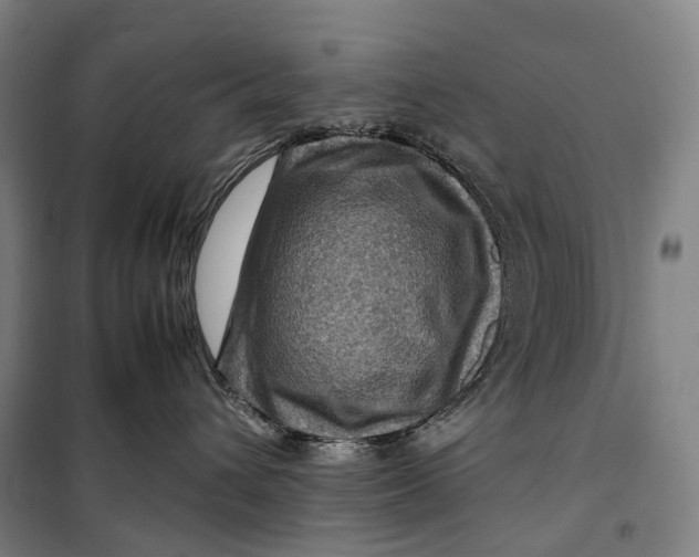 X0000099570432200806061607