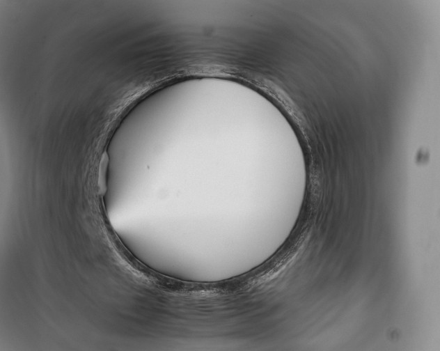 X0000099570433200806061606