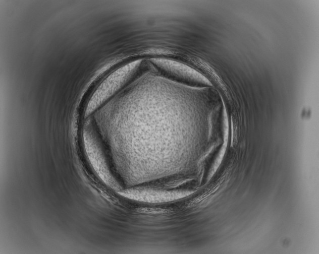 X0000099570435200806061606