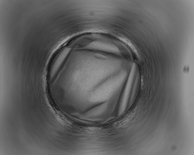 X0000099570436200806061606