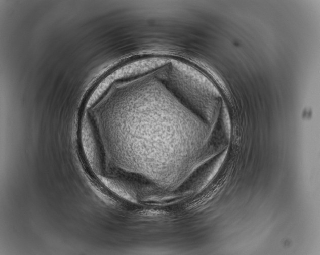 X0000099570437200806061606