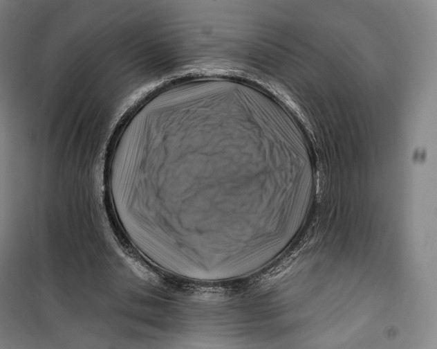 X0000099570438200806061606