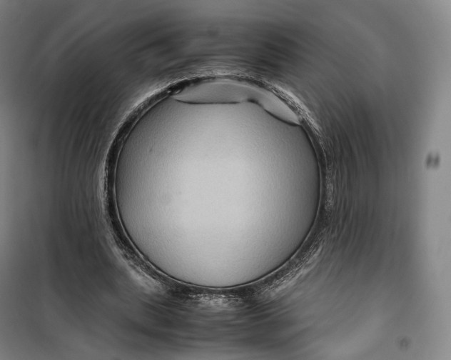 X0000099570439200806061606