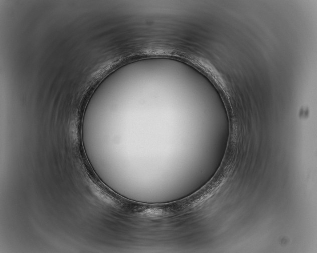 X0000099570441200806061607