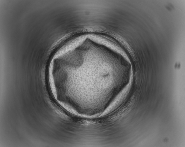 X0000099570442200806061607