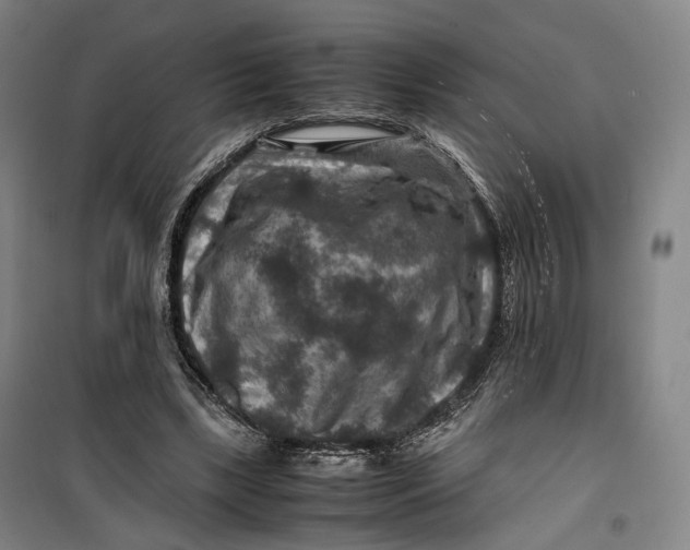 X0000099570443200806061607