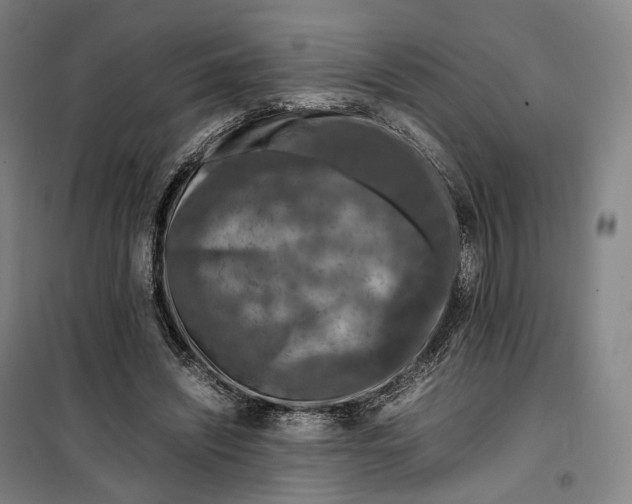 X0000099570444200806061607