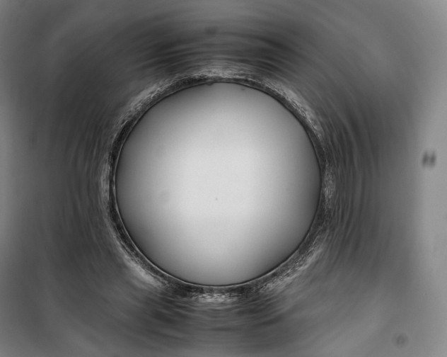 X0000099570445200806061607