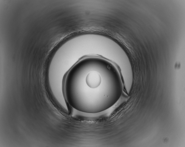 X0000099570448200806061607