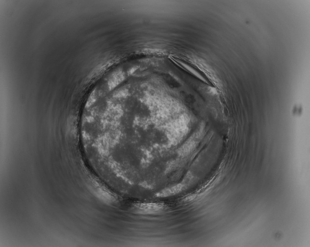 X0000099570449200806061607