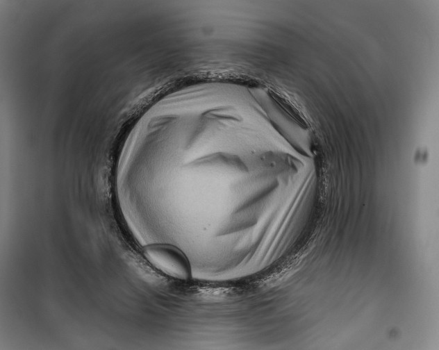 X0000099570450200806061607