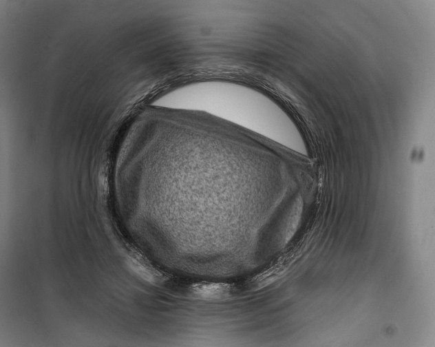 X0000099570452200806061607