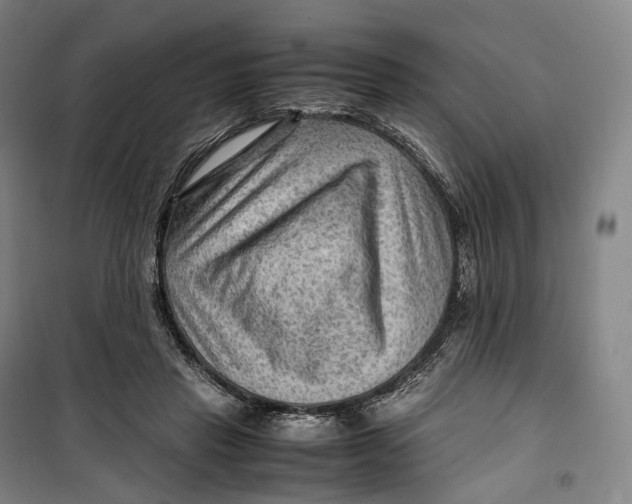 X0000099570453200806061607