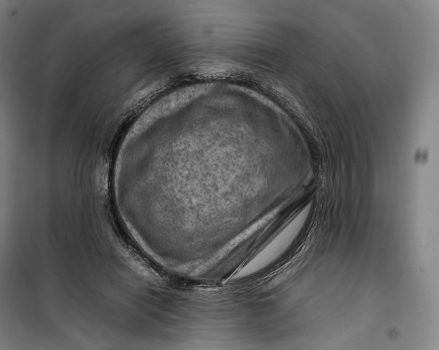 X0000099570454200806061607