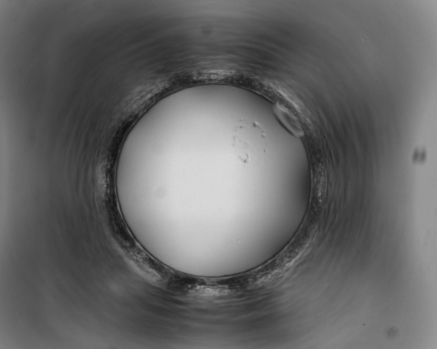X0000099570455200806061607