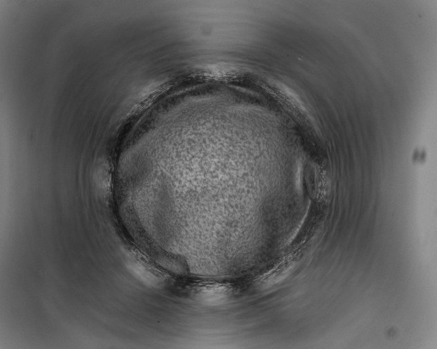X0000099570456200806061607