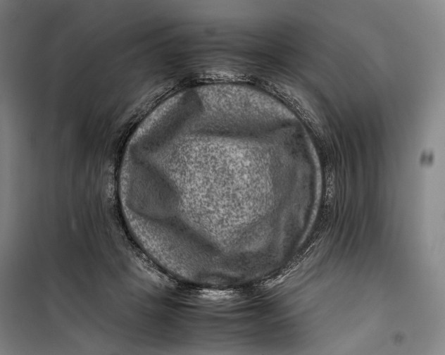 X0000099570457200806061607