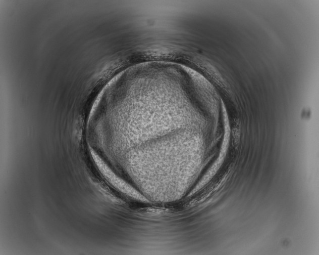 X0000099570458200806061607