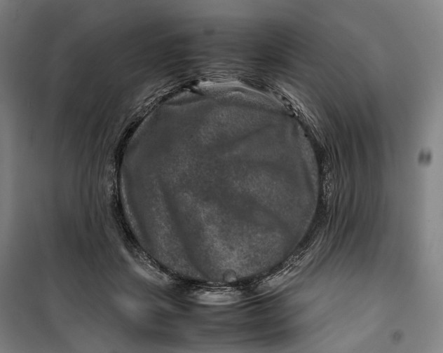 X0000099570459200806061607