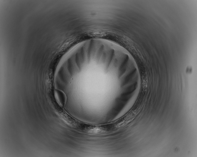 X0000099570460200806061607