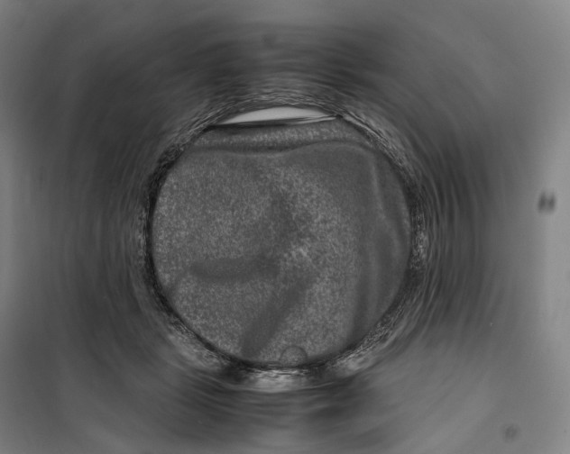 X0000099570461200806061607