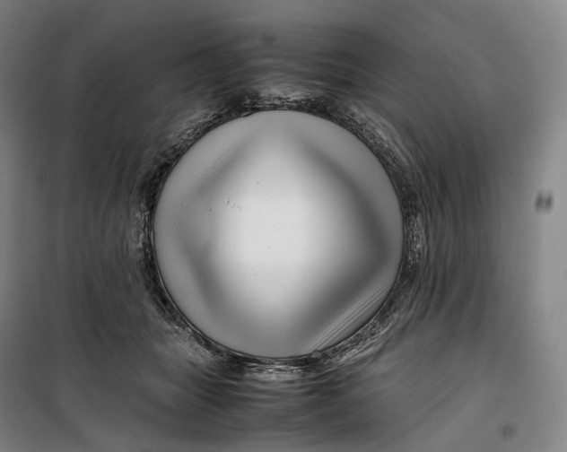 X0000099570463200806061607