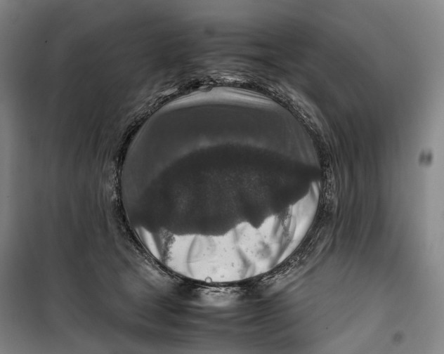 X0000099570465200806061607