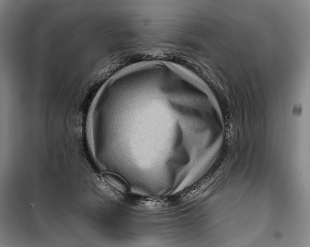 X0000099570466200806061607