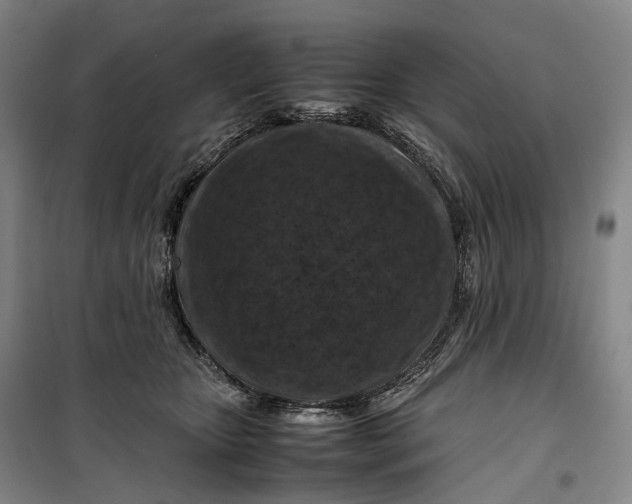 X0000099570467200806061607