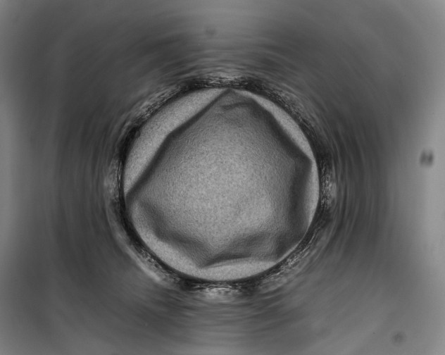 X0000099570468200806061607