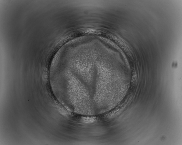 X0000099570469200806061607